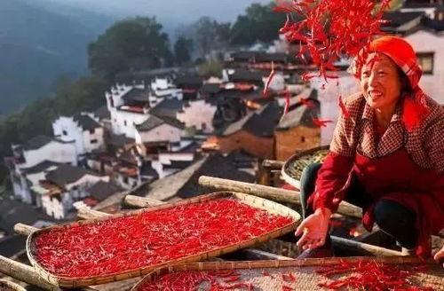 今日农村爆料大全最新,今日农村爆料大全深度解析