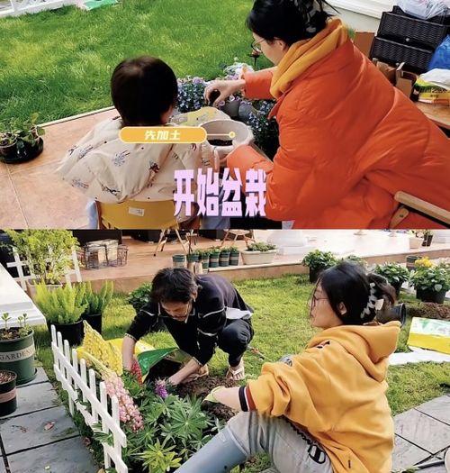 苗苗最新爆料房子租的,揭秘租房背后的故事 第1张 苗苗最新爆料房子租的,揭秘租房背后的故事 第1张