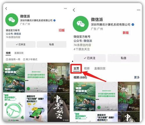 怎么查爆料的作品视频号,如何通过作品视频号追踪查证爆料真相