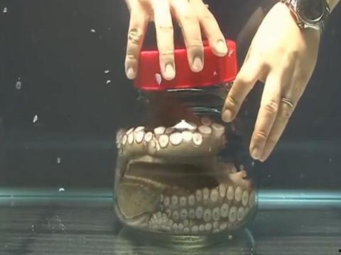 瓶子爆料最近新闻消息视频,最新热点新闻视频盘点